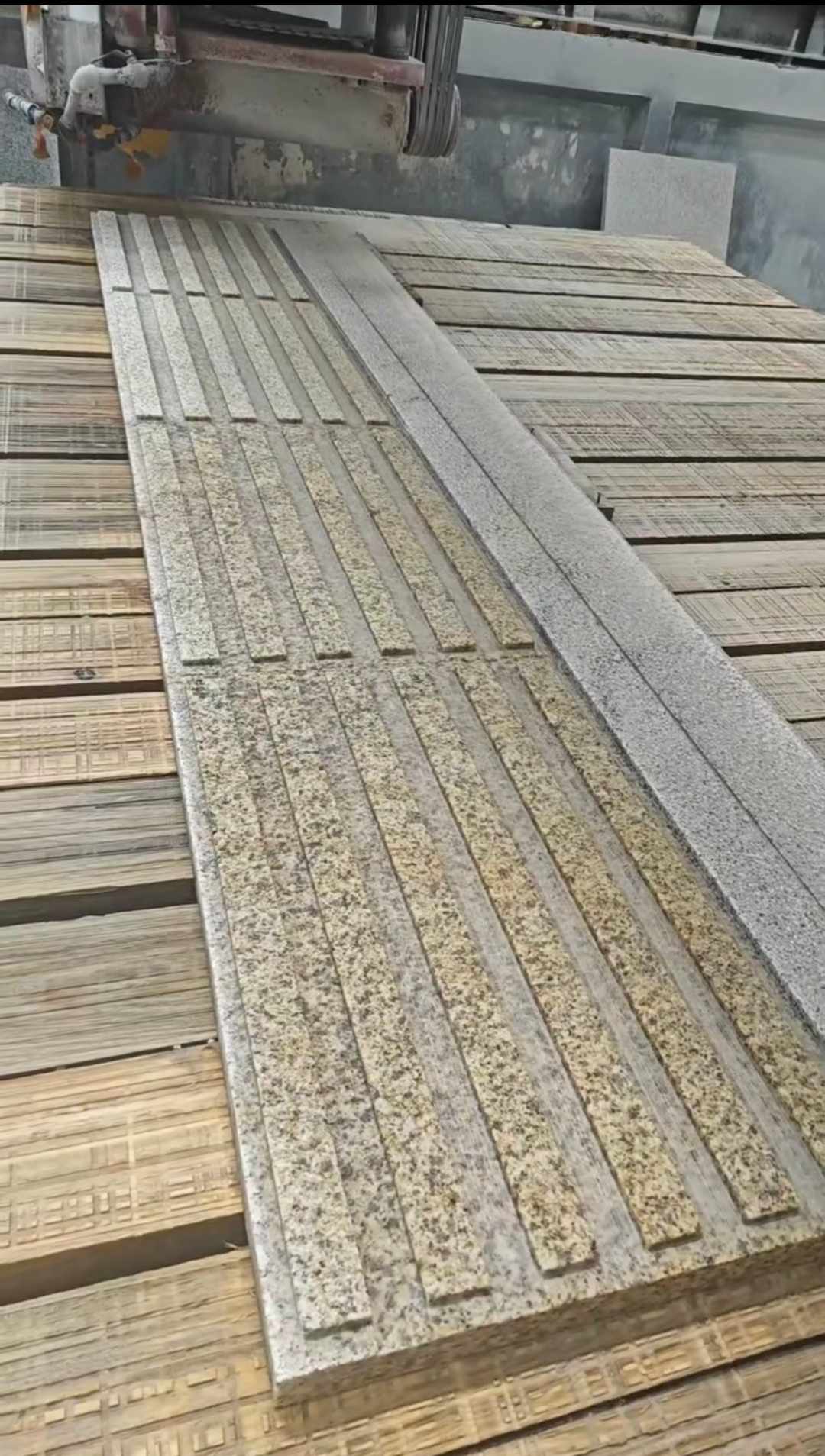 黄金麻盲道石 盲条